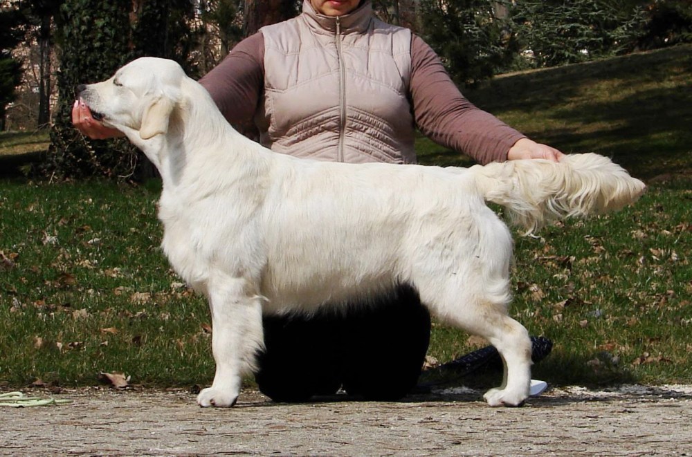 Wind Lovin' In My Dreams "Raven"